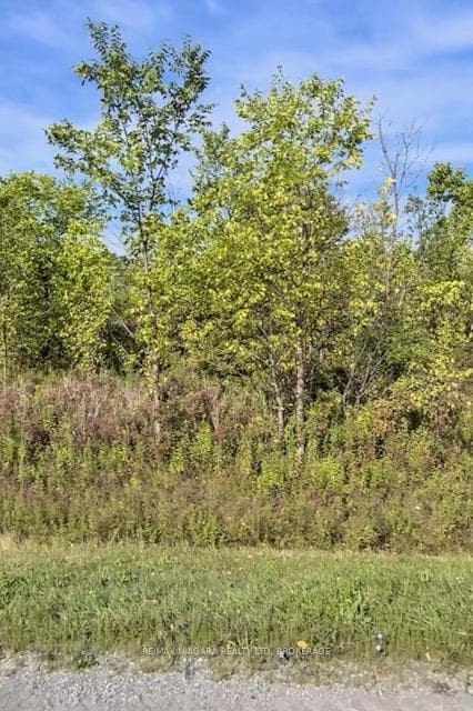 Lot 3 Montrose Road, Niagara Falls, ON L3B 5N7